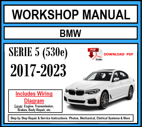Workshop Manual [BMW Serie 5 530e] (G30) 2017-2023